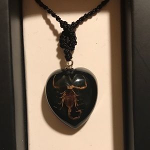 Encased Scorpion Necklace